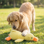 Calming Duck Plush Toy